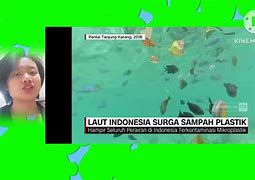 Berita Tanah Laut Hari Ini